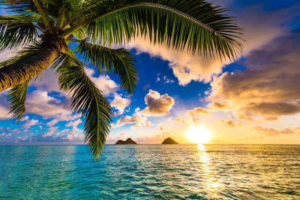 Beautiful sunrise at Lanikai Beach in Kailua, Hawaii stock photo