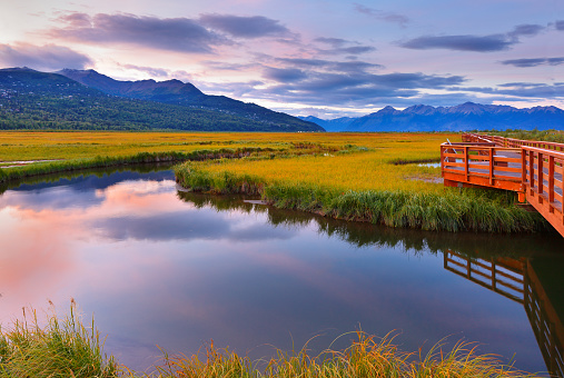 Potter Marsh is located at the southern end of the Anchorage Coastal Wildlife Refuge.
