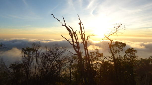 mooie zonsopgang bij de berg - azi�� stockfoto's en -beelden