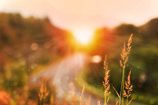 Beautiful sunrise landscape in high mountain road Sun ray landscape  in high mountain road and bokeh meadow photos stock pictures, royalty-free photos & images