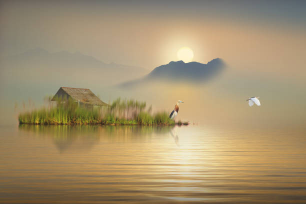 Beautiful sunrise on the dream lake stock photo