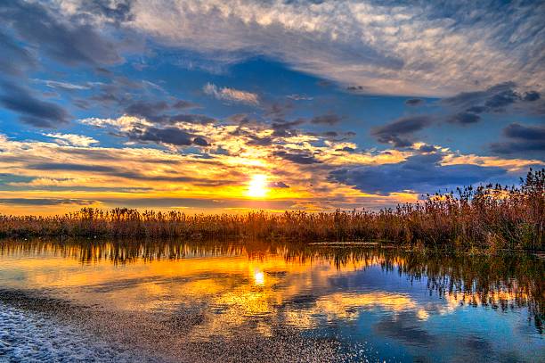 My dad wants to get information. Beautiful-sunset-in-the-danube-delta-picture-id515595564?k=6&m=515595564&s=612x612&w=0&h=zneVbkNxq6GclrpfnGYtvk3D3BdscjYXxT-agiZy-qE=