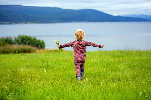 Beautiful toddler child, blond boy in thermo cloths, having portraits in norwegian vast picturesque nature along a fjord with flowers, happy childhood on a family vacation in Lofoten, Norway