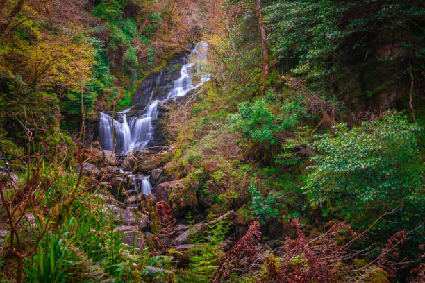 Beautiful Torc waterfall Beautiful Torc waterfall photographed in autumn in Killarney National Park, Ireland killarney ireland stock pictures, royalty-free photos & images