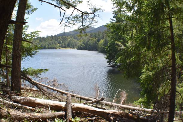 Beautiful Tranquil Bon Tempe Lake On Mount Tamalpais In Marin County California stock photo
