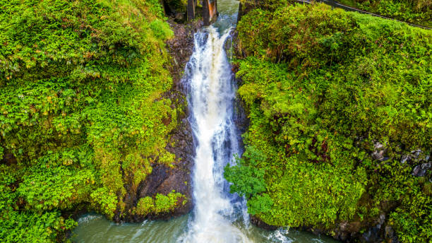 Beautiful Tropical Hana Maui Hawaii Waterfall stock photo