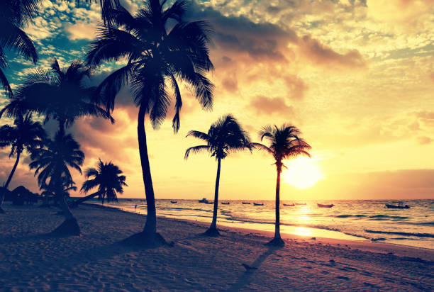 Beautiful Tulum beach at sunrise in Mexico stock photo