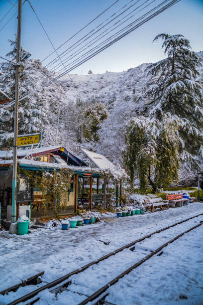 Beautiful view of after snowfall going to shimla The Kalka Shimla railway is a in narrow-gauge railway in North India which traverses a mostly-mountainous route from Kalka to Shimla. It is known for dramatic views of the hills and surrounding villages. shimla stock pictures, royalty-free photos & images