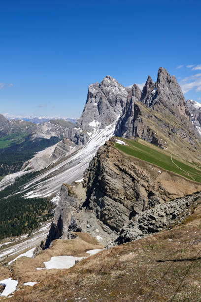beautiful view of the top of mount seceda full of snow and a huge drop into the forest, vertical view, in the italian dolomites, europe stock photo