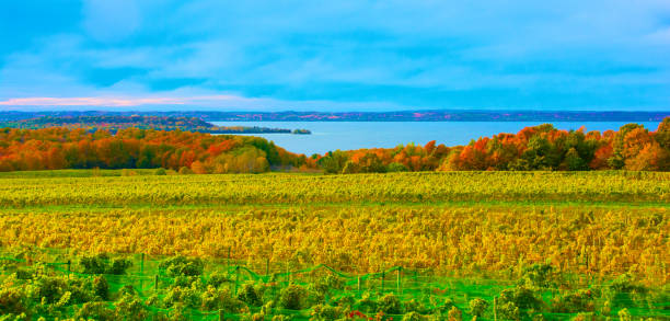 Beautiful View of Traverse Bay with fall leaf color and vineyard-Traverse City, Michigan stock photo