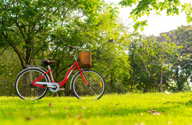 Beautiful vintage bicycle in park stock photo