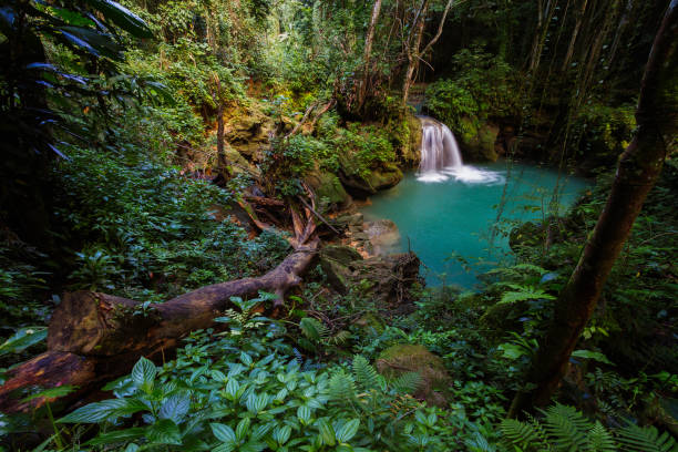 Beautiful waterfall in a lush tropical rainforest stock photo