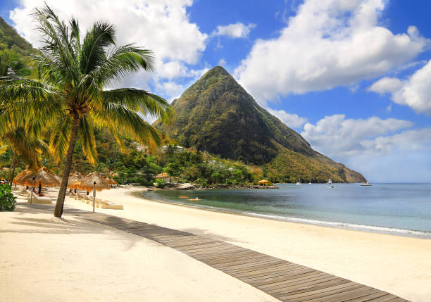 Beautiful white sand beach in Saint Lucia, Caribbean Islands stock photo