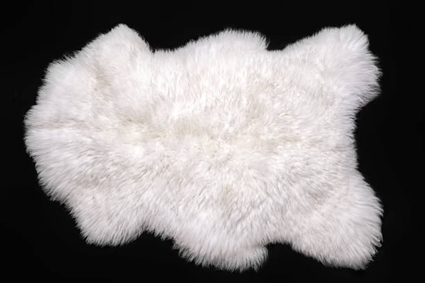 Beautiful white sheepskin isolated on a black background stock photo