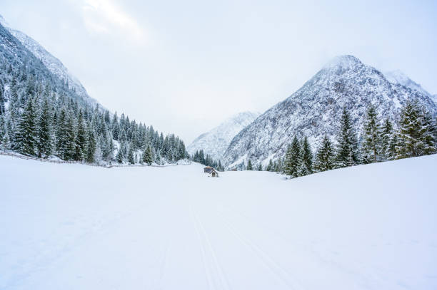 Beautiful winter landscape scenery in Tirol, Reutte, Austria Beautiful winter landscape scenery in Tirol, Reutte, Austria lechtal alps stock pictures, royalty-free photos & images