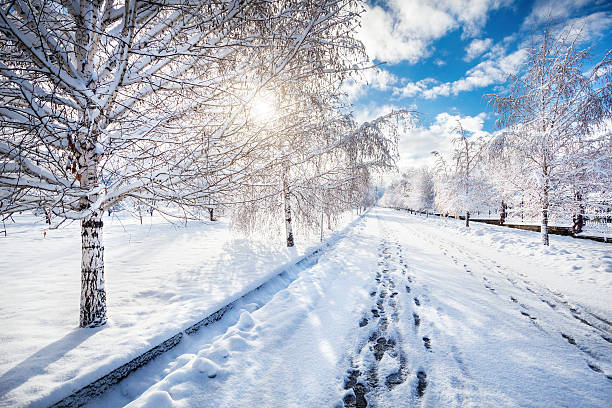 Beautiful Winter park stock photo