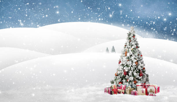 Beautiful with snow covered christmas tree in a snowy winterlandscape stock photo