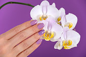 Young beautiful female hand with a lilac color nails polish gel and beautiful orchid flower decoration on purple background in the studio. Manicure and beauty concept. Fashionable and elegance modern manicure color for summer. Close up, selective focus