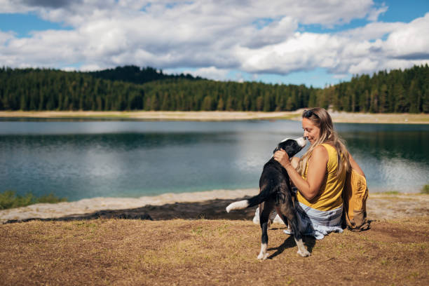 A beautiful woman is playing with a dog approaching her as she sits by the lake water. stock photo