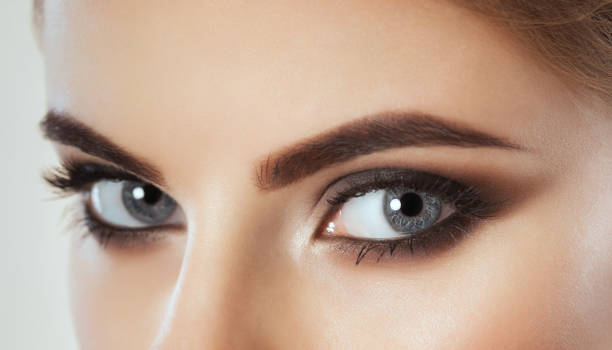 Beautiful Woman with long lashes and beautiful make-up looking at the camera Beautiful Woman with long lashes and beautiful make-up looking at the camera. eyebrow stock pictures, royalty-free photos & images