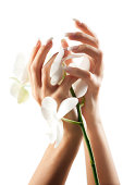 Woman's hands holding orchid flowers isolated on white.
