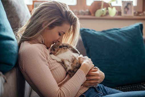 Beautiful young woman cuddling with her bunny pet. She holds the bunny, strokes him and kisses. Bunny is very calm and enjoys time with his owner. They are are spending time at home.