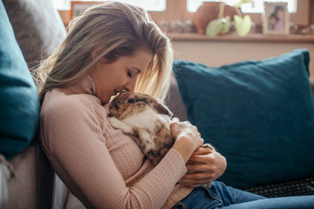 Beautiful young woman and her bunny pet Beautiful young woman cuddling with her bunny pet. She holds the bunny, strokes him and kisses. Bunny is very calm and enjoys time with his owner. They are are spending time at home. rabbit stock pictures, royalty-free photos & images