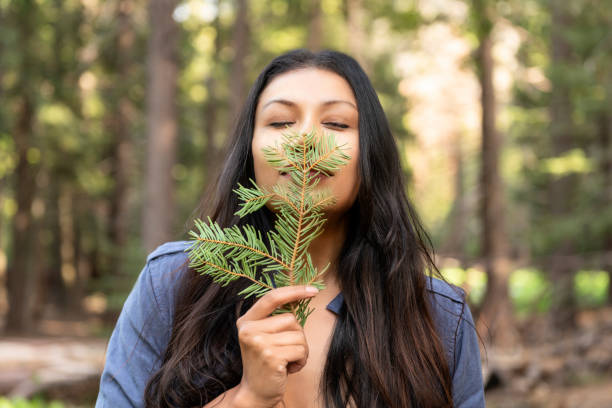Beautiful young woman smelling the scent of pine. stock photo