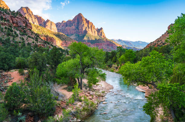 beautiful Zion national park on sunny day,utah,usa. beautiful Zion national park on sunny day,utah,usa. utah stock pictures, royalty-free photos & images