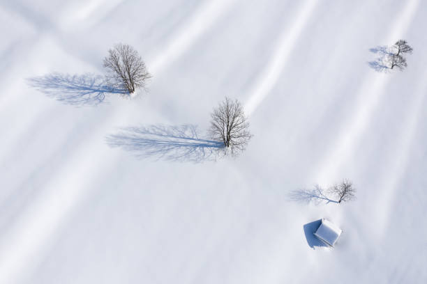Beauty in Nature, Shadows in the Morning Sun on fresh deep Powder Snow Beauty in Nature. Aerial of Trees and Barn throwing long Shadows in the Morning Sun on fresh deep Powder Snow. Converted from RAW. ausseerland stock pictures, royalty-free photos & images