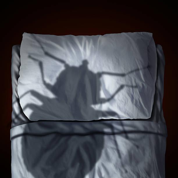 Bed Bug Fear Bed bug fear or bedbug worry concept as a cast shadow of a a parasitic insect pest resting on a pillow and sheets as a symbol and metaphor for the anxiety horror and danger of a bloodsucking parasite living inside your mattress. bed bug shadow stock pictures, royalty-free photos & images