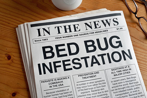 Bed Bugs Bed Bug Infestation headline on a mock newspaper infestation bed bug stock pictures, royalty-free photos & images