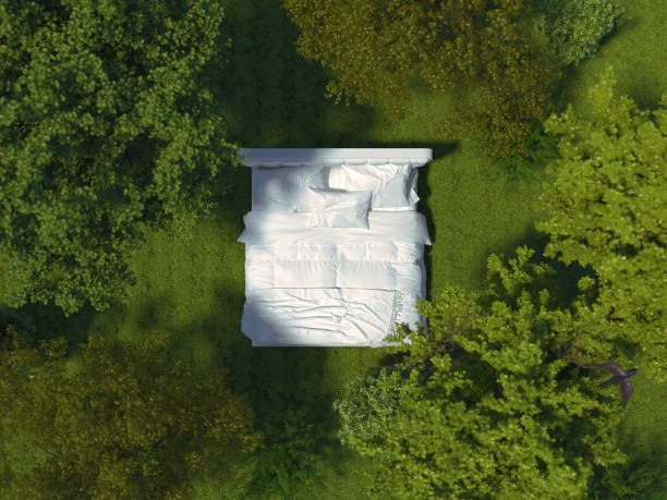 A bed with white linens stands on the grass in the forest among the trees. White bed outdoors surrounded by a landscape in a top view. Creative conceptual illustration. 3D rendering. A bed with white linens stands on the grass in the forest among the trees. White bed outdoors surrounded by a landscape in a top view. Creative conceptual illustration. 3D rendering plants bedroom stock pictures, royalty-free photos & images