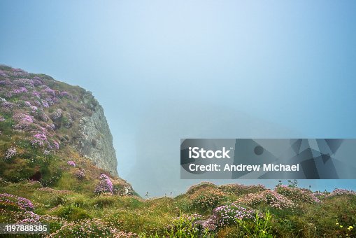 istock Bedruthan Steps on a foggy day 1197888385
