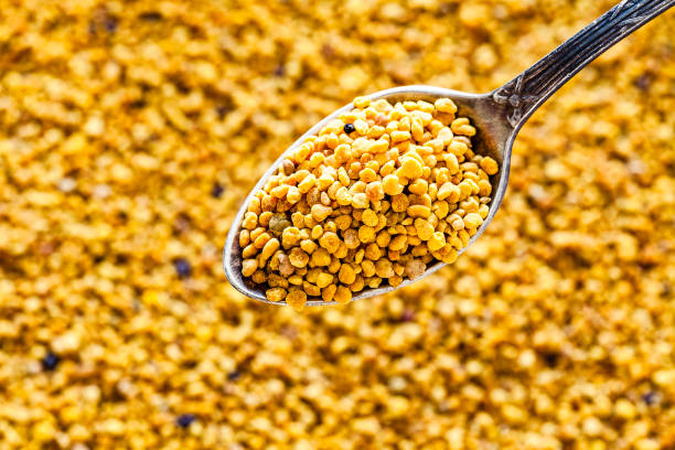 Bee pollen on a metal spoon shot from above Apiculture industry concepts. Top view of organic bee pollen granules in a metal spoon shot against defocused pollen texture background. Useful copy space available for text and/or logo. Predominant color is yellow. DSRL studio photo taken with Canon EOS 5D Mk II and Canon EF 100mm f/2.8L Macro IS USM. pollen stock pictures, royalty-free photos & images