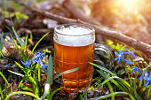 istock Beer and blue flower in spring in forest, snowdrops Scilla Squill, soft focus. A glass of ale in a spring flower meadow. 1301585129