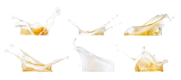 beer splashes collection beer splashes collection isolated on white background frothy drink stock pictures, royalty-free photos & images