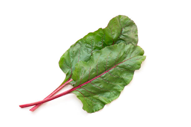 Beet leaves, beet foliage isolated on white. Top view. stock photo