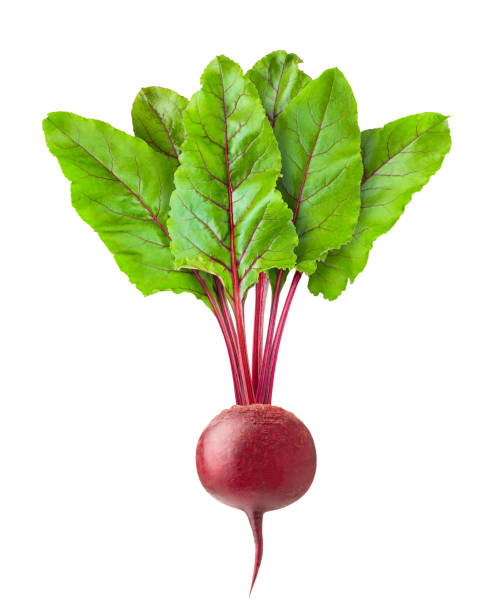beetroot isolated on white background, clipping path, full depth of field beetroot isolated on white background, clipping path, full depth of field beet stock pictures, royalty-free photos & images