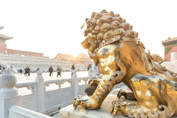 beijing forbidden city copper lions - golden lion imagens e fotografias de stock