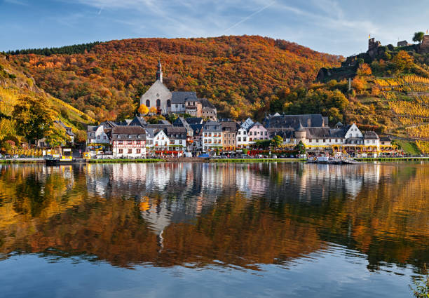 Beilstein resort town and Vineyards in Mosel wine valley at autumn Mosel valley vineyards, Germany. lorraine stock pictures, royalty-free photos & images