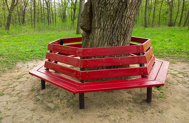 Circular Bench Around Tree Stock Photos Pictures Royalty Free