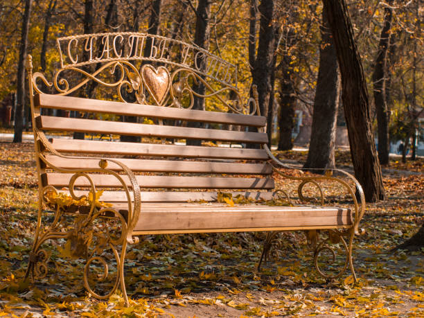 Bench in autumn park with fallen leaves stock photo