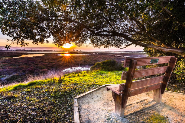 outdoor activities Southern California during summer