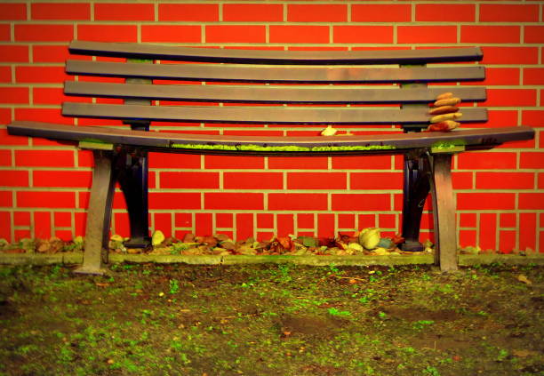 bench with zen like stones stock photo