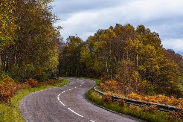 Bendy, country road in Scottish highlands  with autumn coloured trees on both sides.Scenic drive on british countryside.S-shape road in rural Scotland.Diminishing perspective. stock photo