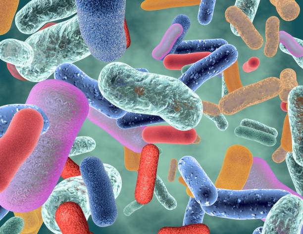 wohltuende gesunde darmbakteriums mikroflora. - bakterie stock-fotos und bilder