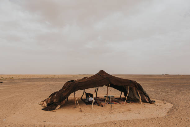 A berber camp tent in the Sahara desert. stock photo