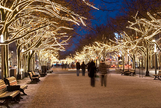 berlin unter den linden christmas - berlin snow stockfoto's en -beelden