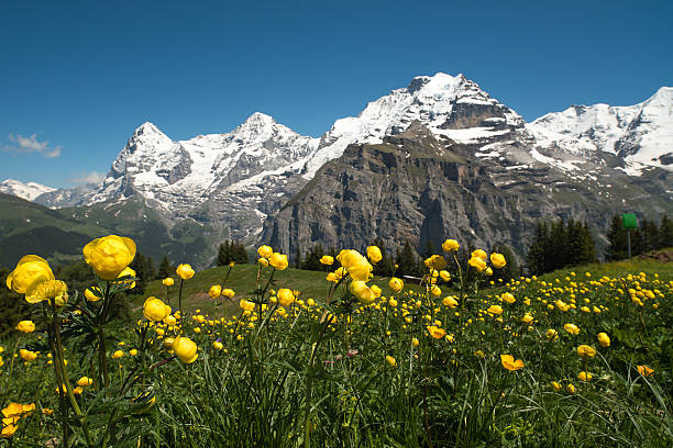 Bernese Oberland, Switzerland stock photo